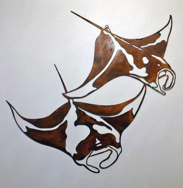 Manta